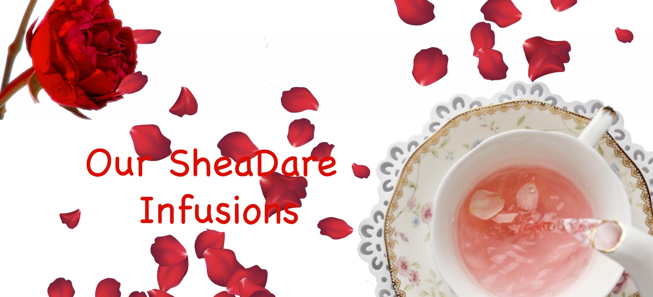 SheaDare_Valentine_Infusions